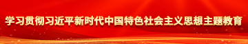 日屄观看学习贯彻习近平新时代中国特色社会主义思想主题教育